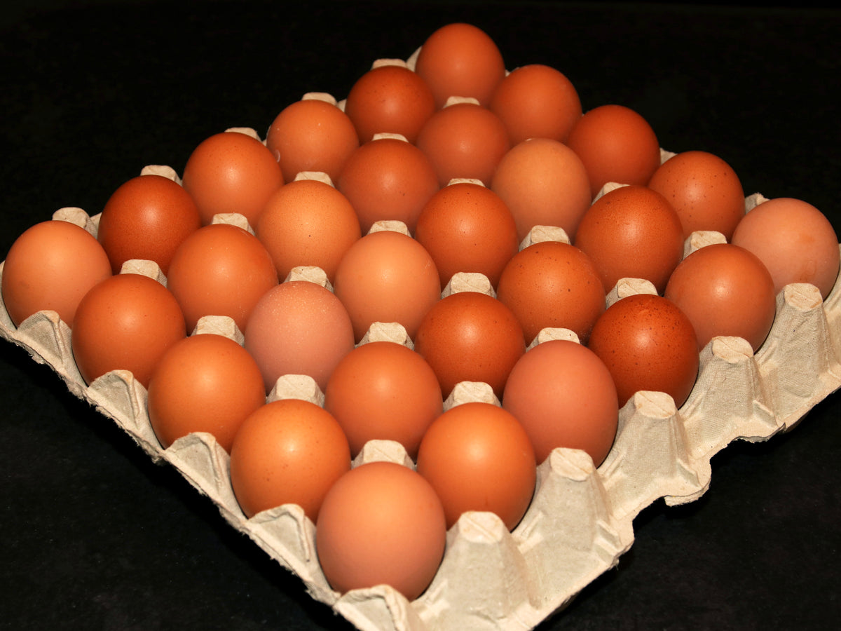 Tray of 30 Large Free Range Eggs Springwood Meats